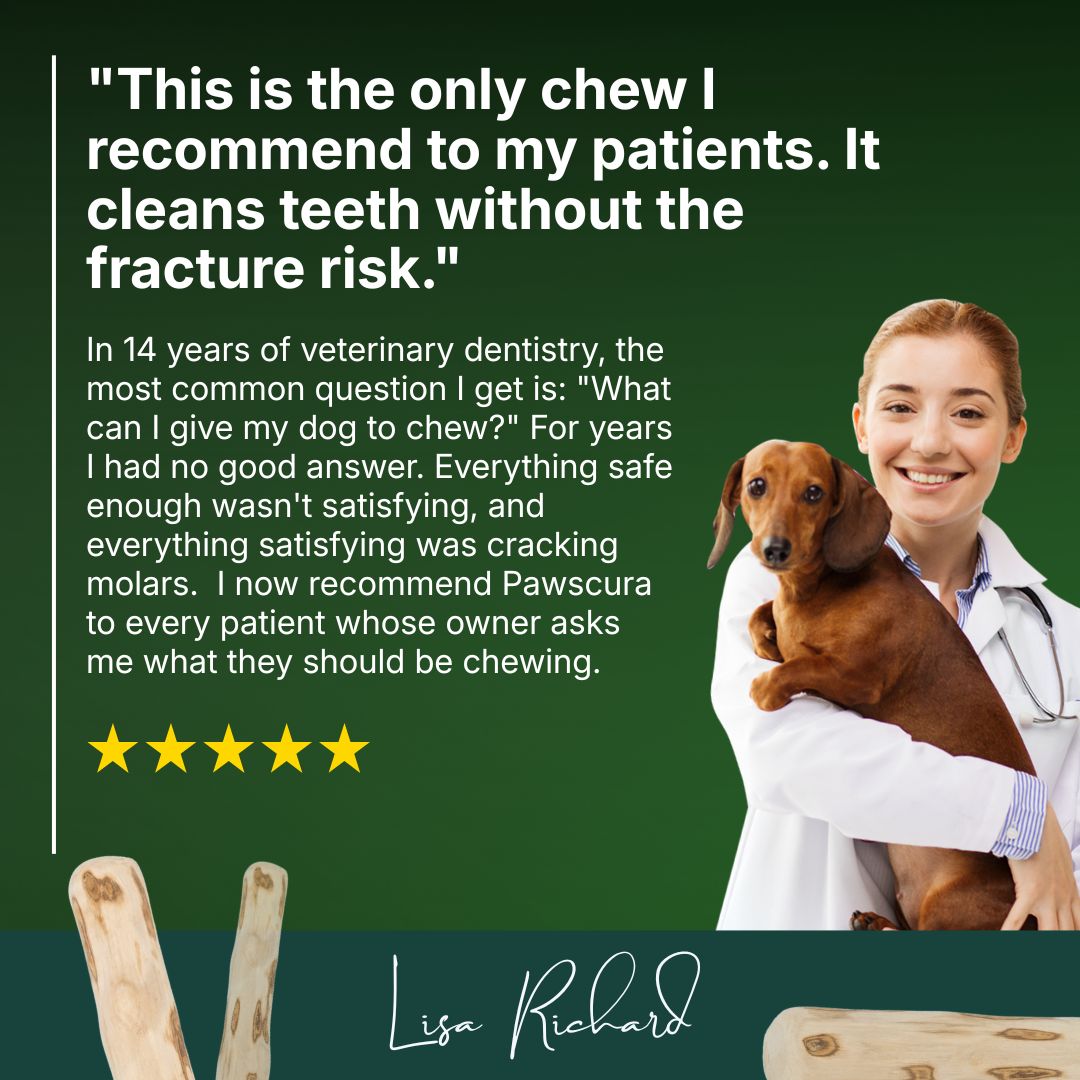 Coffee Wood Chew