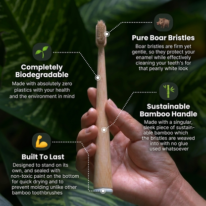 Toothbrush Boar & Bristle Bamboo